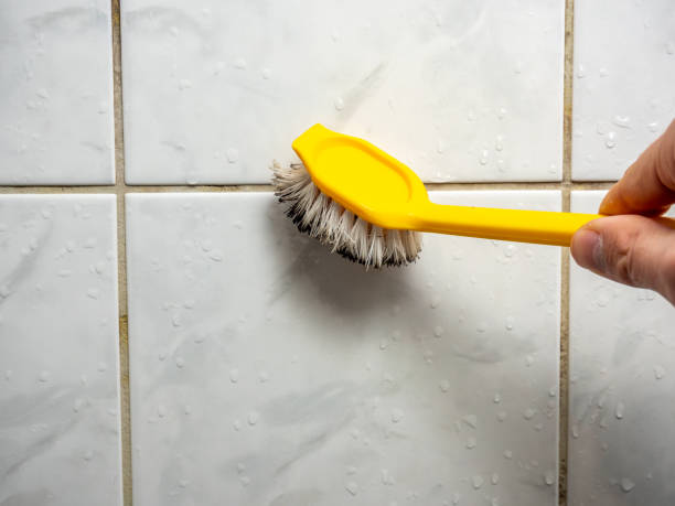 Best Water Damage Restoration  in Goodman, MS