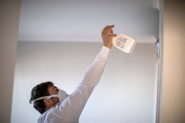 Best Crawl Space Mold Removal  in Goodman, MS