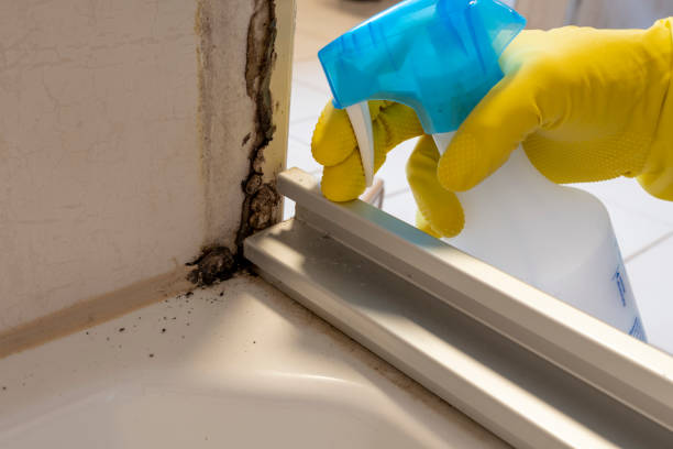 Best Mold Removal Near Me  in Goodman, MS