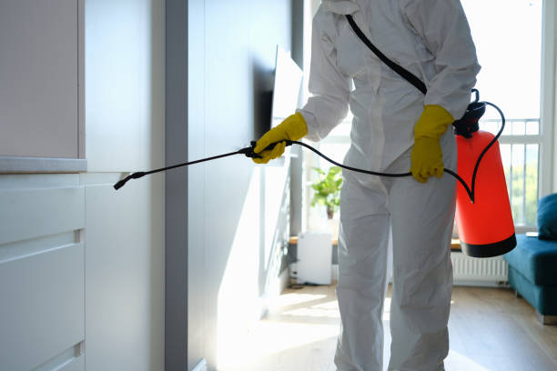 Best Certified Mold Removal  in Goodman, MS
